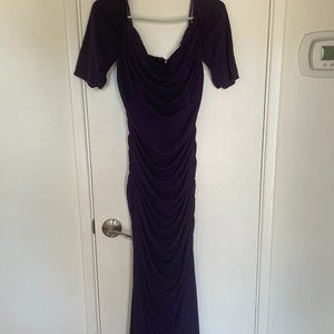 Badgley Mischka Glamorous Deep Purple Formal Fitted Floor Length Gown